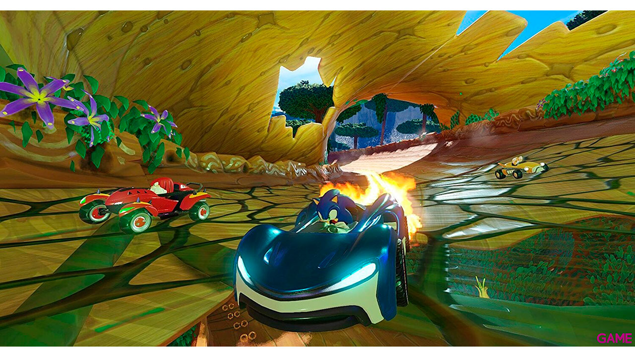Nintendo Switch + Mario Kart 8 + Team Sonic-7