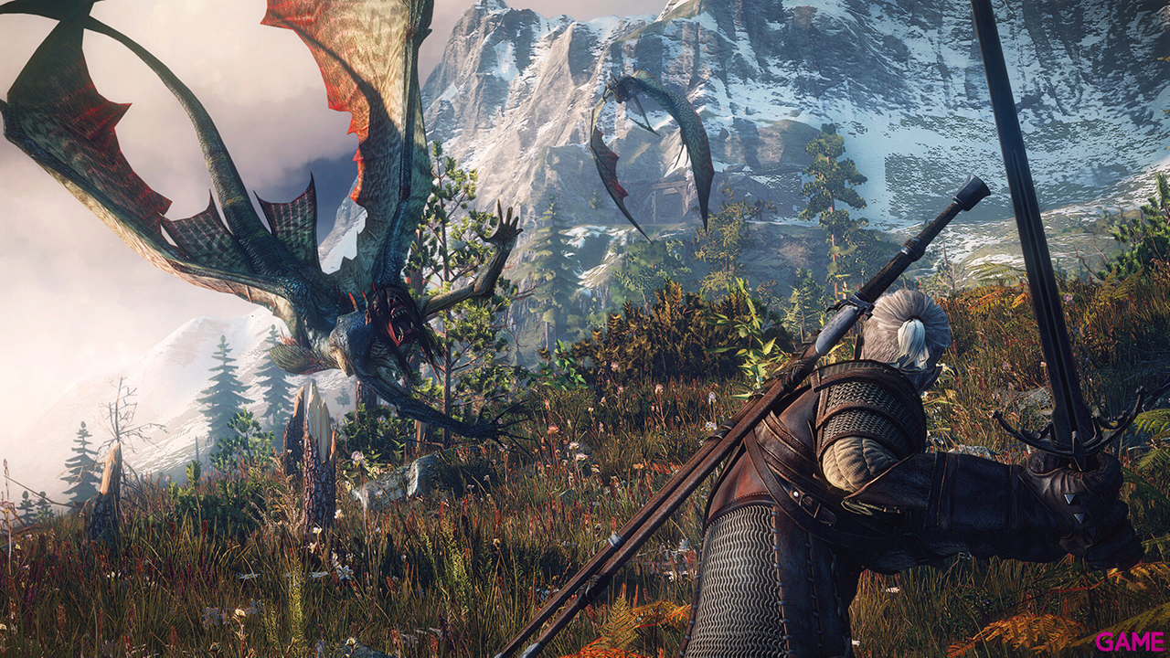 The Witcher 3 Wild Hunt GOTY + Póster The Witcher-4