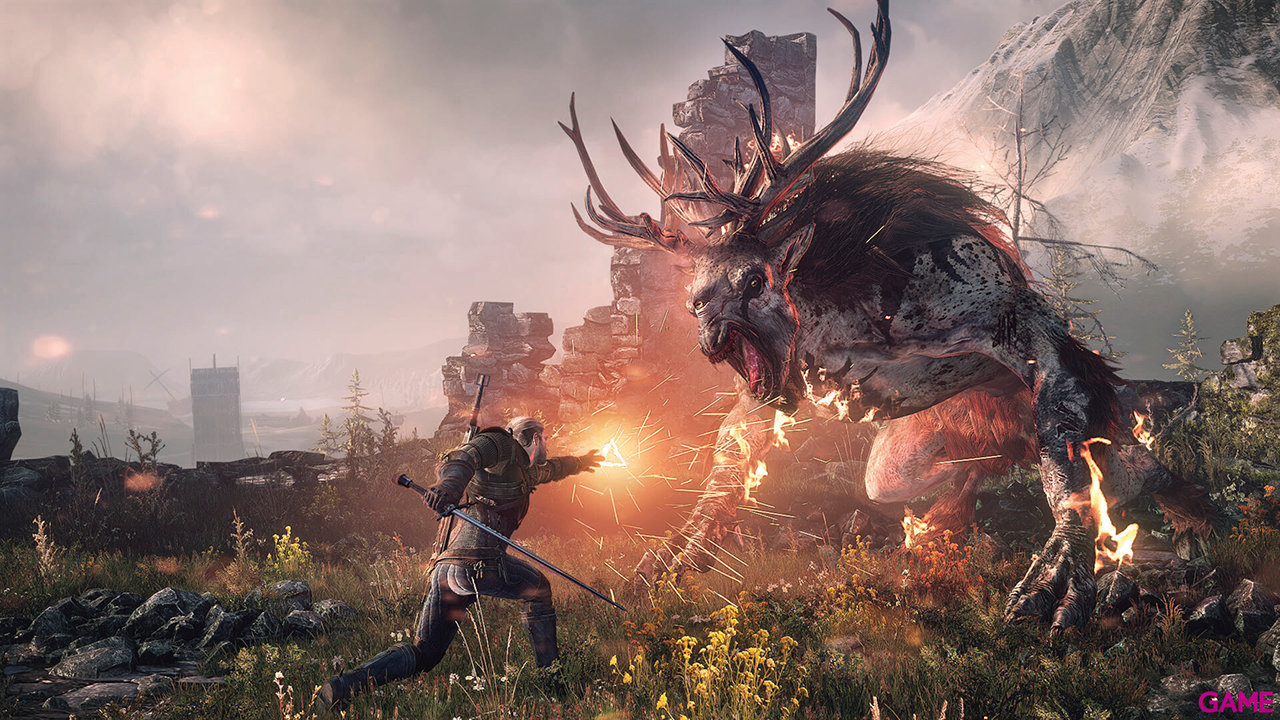 The Witcher 3 Wild Hunt GOTY + Póster The Witcher-6