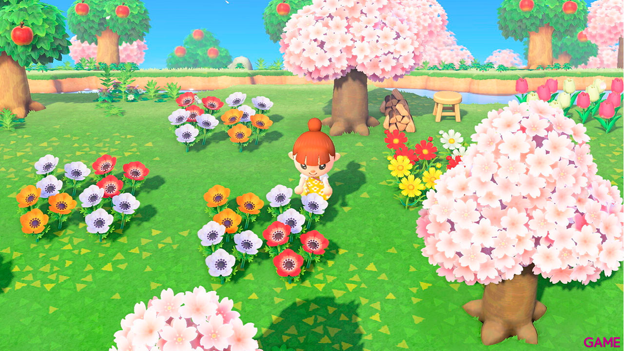 Nintendo Switch + Animal Crossing. New Horizons-9