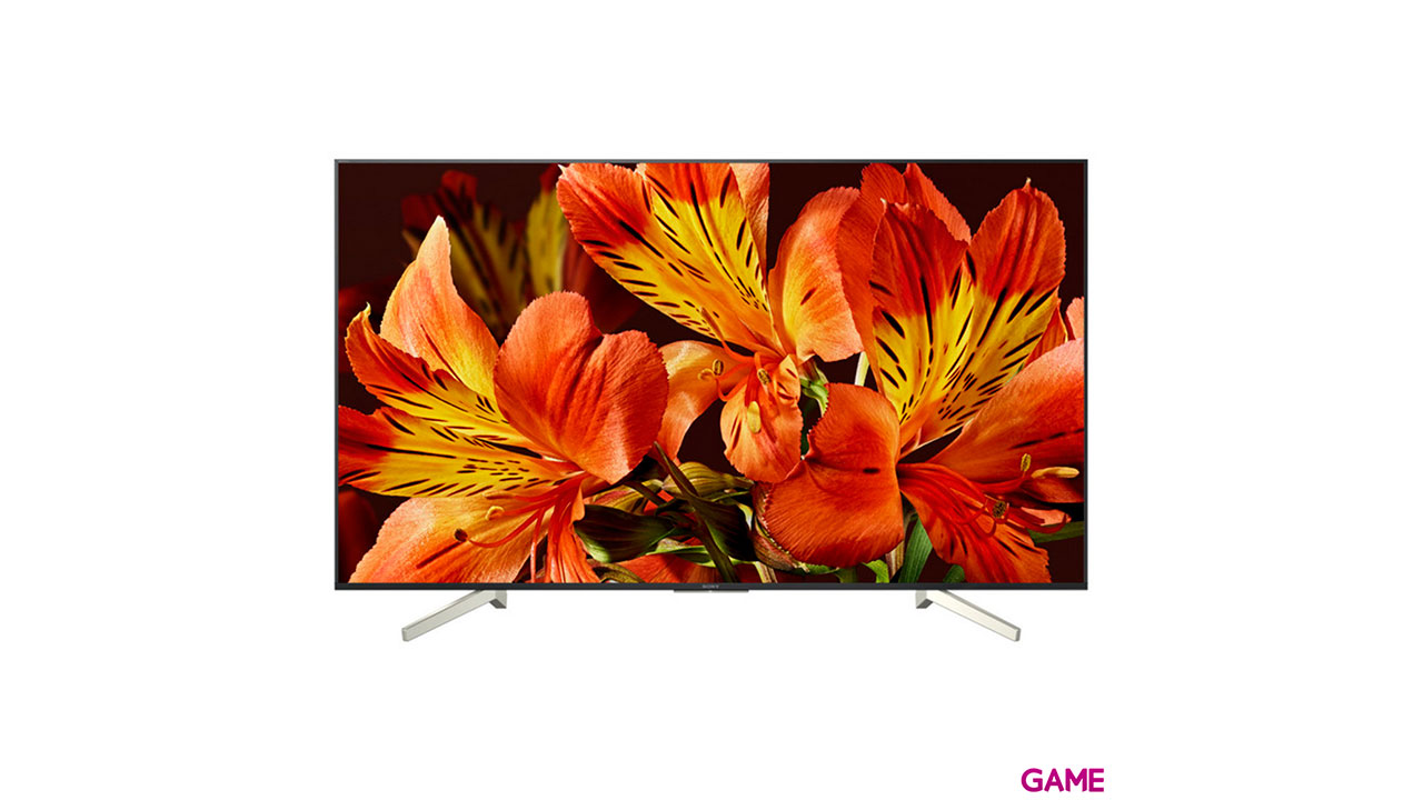 Sony KD55XF8596 139,7 cm (55