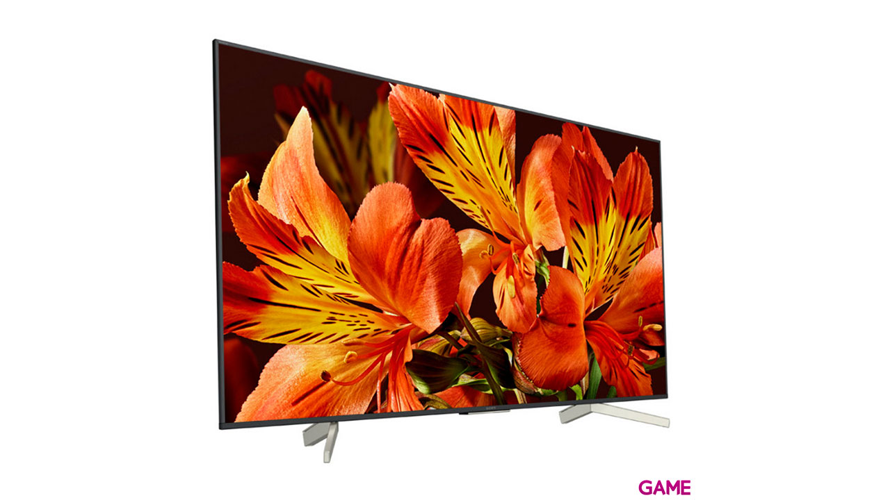 Sony KD55XF8596 139,7 cm (55