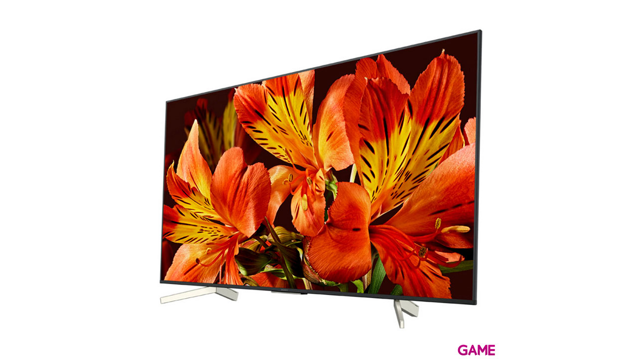 Sony KD55XF8596 139,7 cm (55