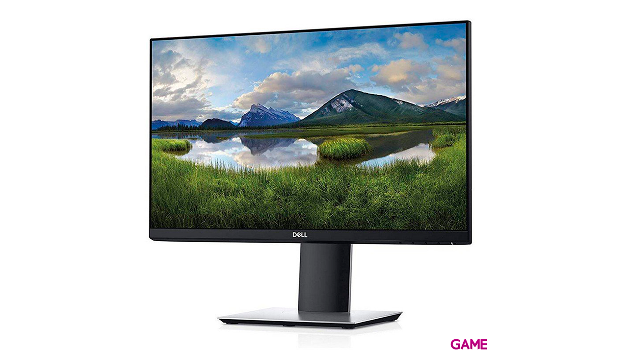 Dell P2319H 23