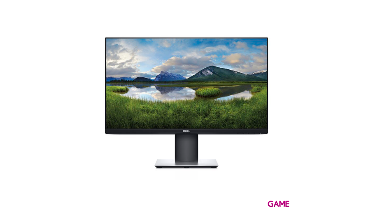 Dell P2421D 24