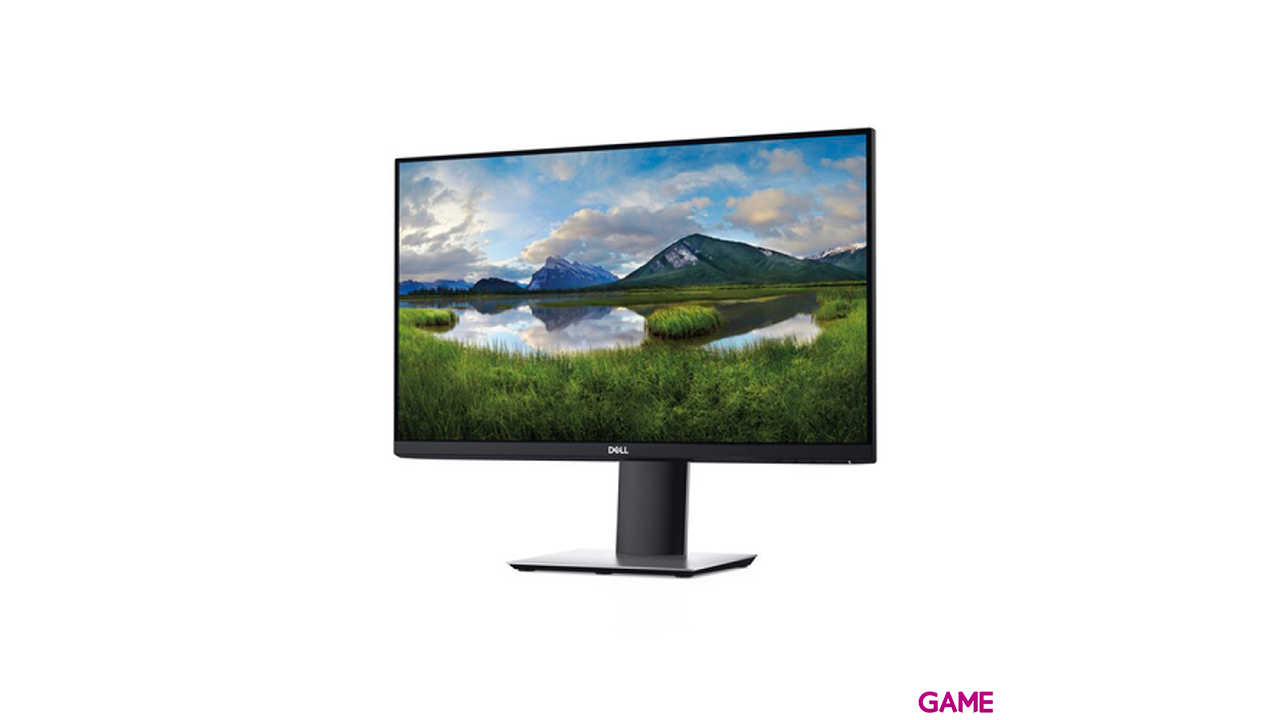 Dell P2421D 24