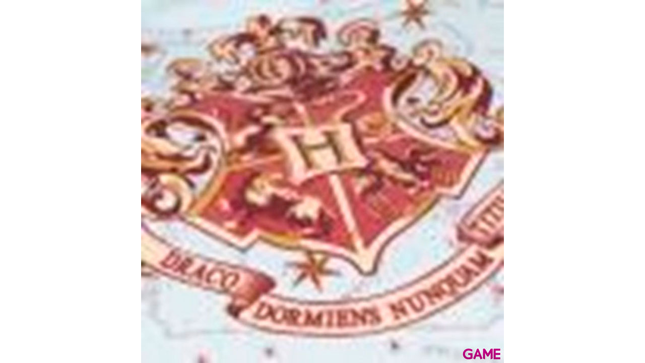 Hogwarts Harry Potter - Bolso Playa-2