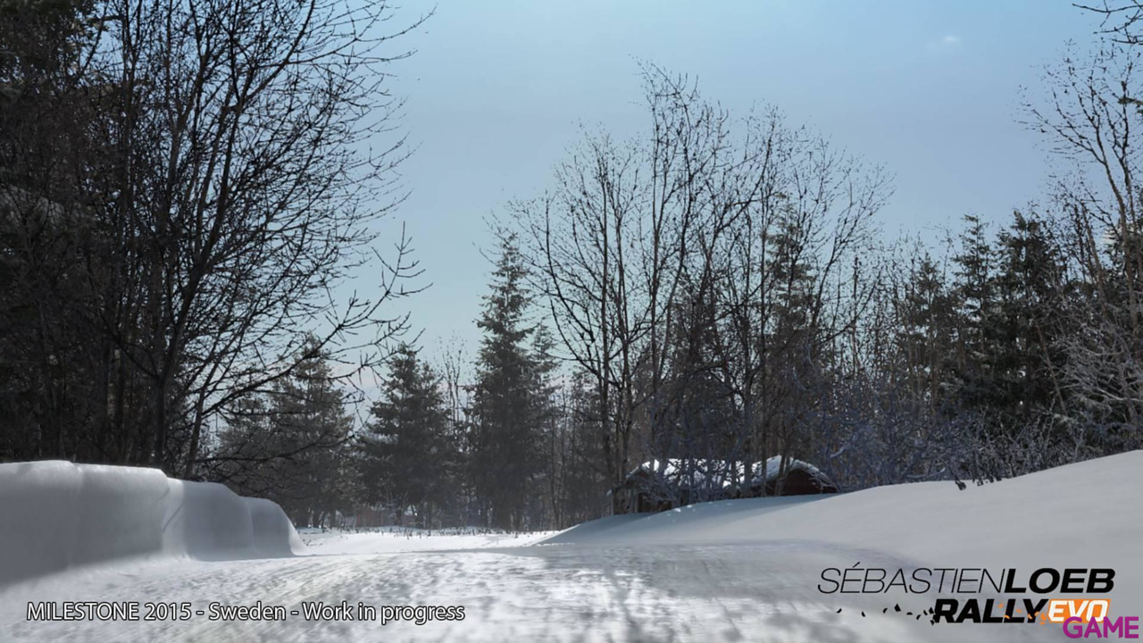 Sebastien Loeb Rally Evo-17