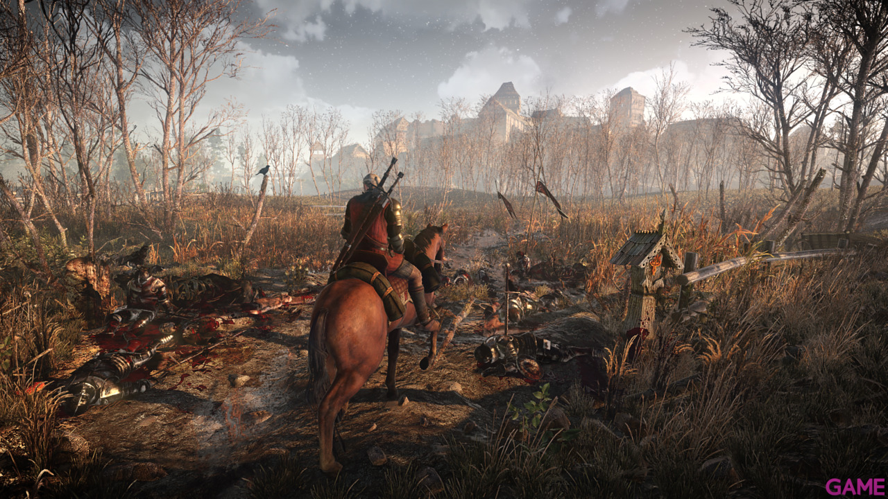 The Witcher 3 Light Edition-0