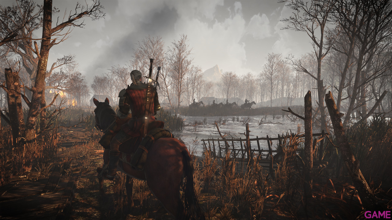 The Witcher 3 Light Edition-2