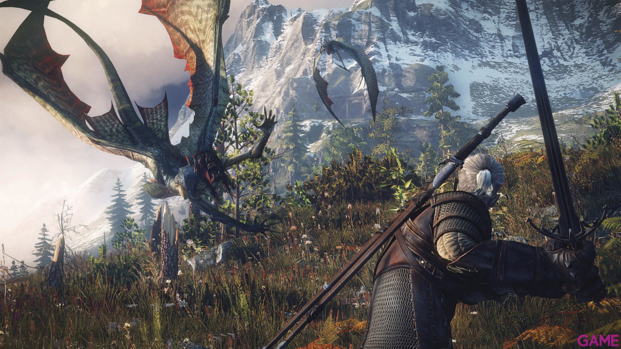 The Witcher 3 Light Edition-15