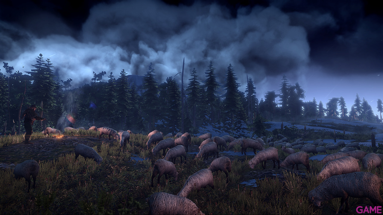 The Witcher 3 Light Edition-16