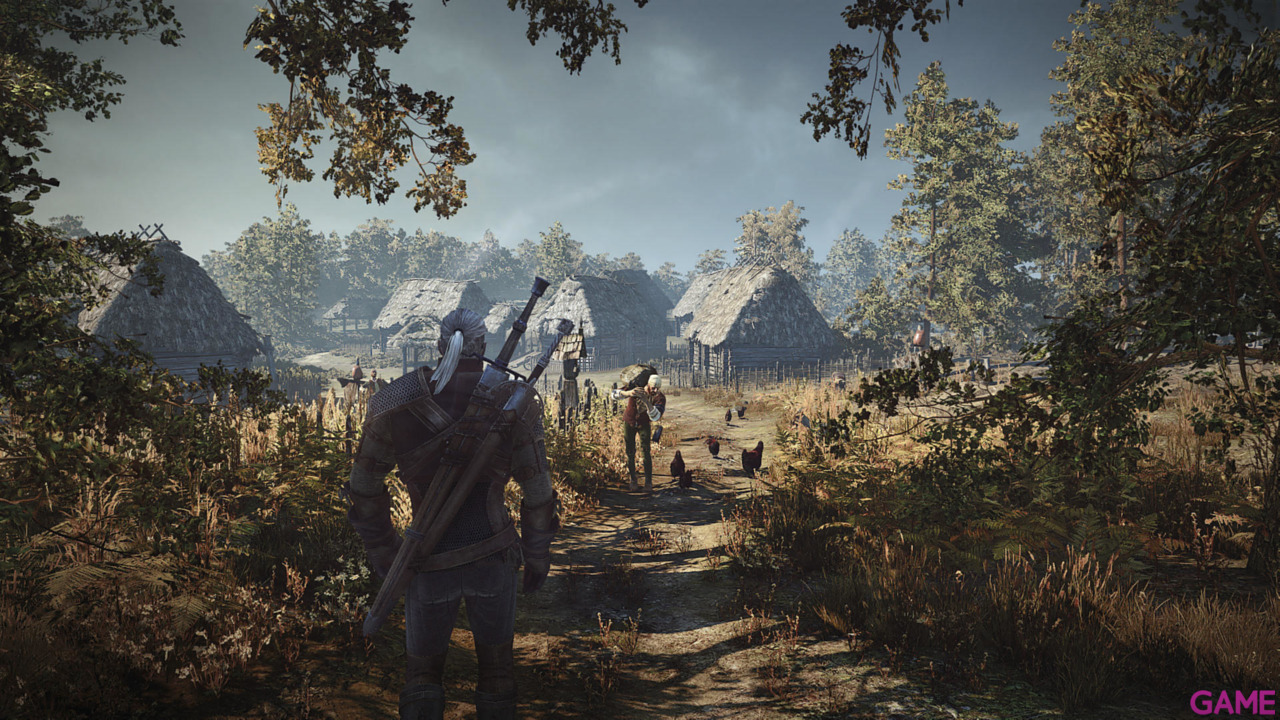 The Witcher 3 Light Edition-20