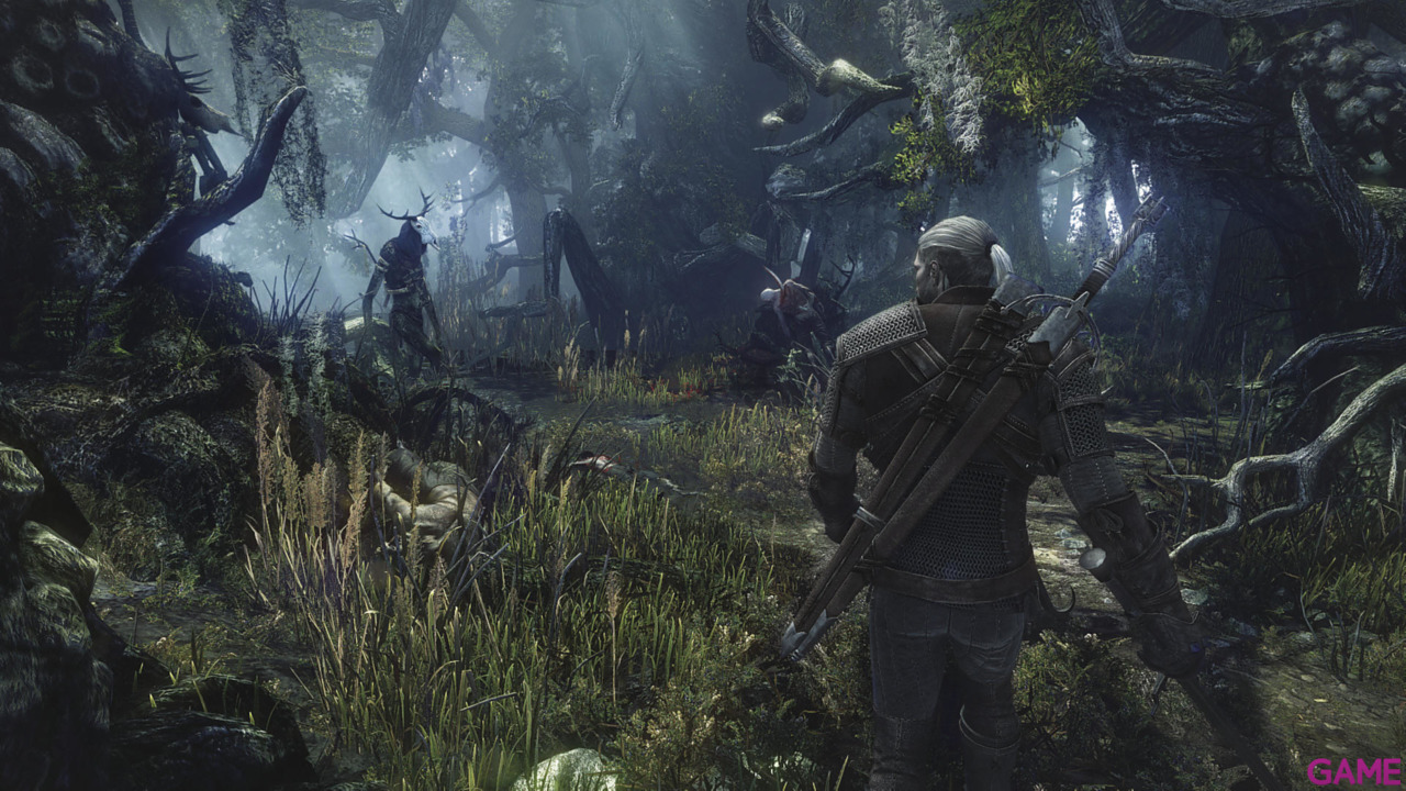 The Witcher 3 Light Edition-23