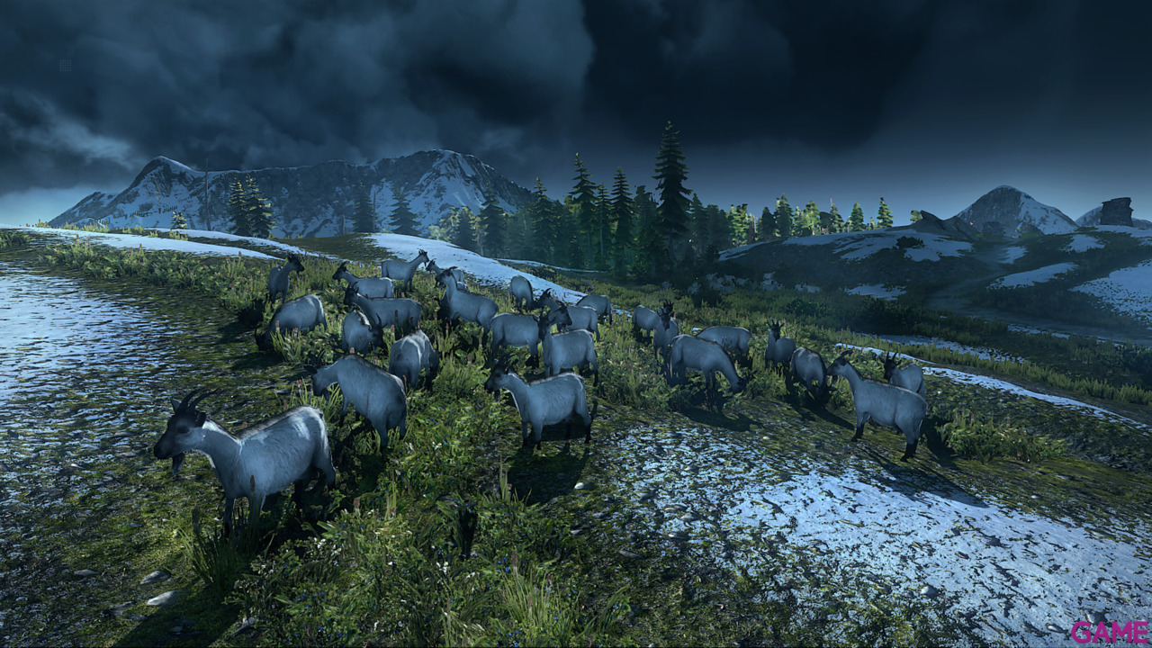 The Witcher 3 Light Edition-24