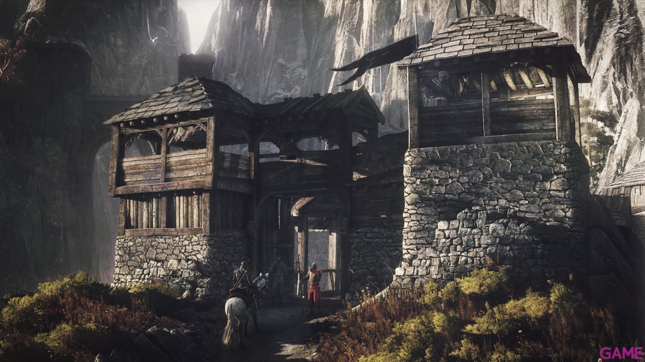 The Witcher 3 Light Edition-25