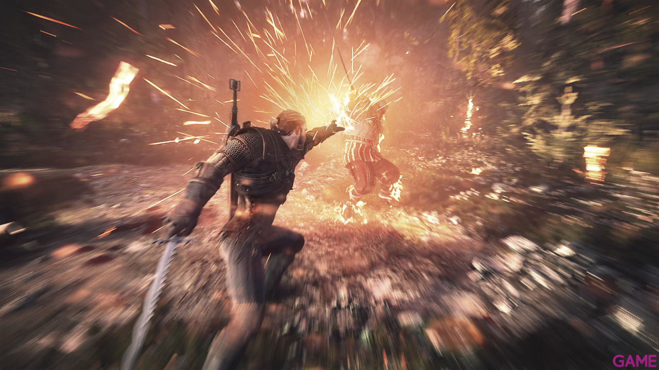 The Witcher 3 Light Edition-27