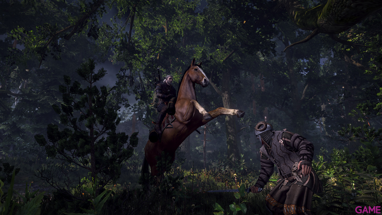 The Witcher 3 Light Edition-33