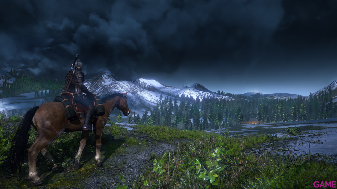The Witcher 3 Light Edition-34