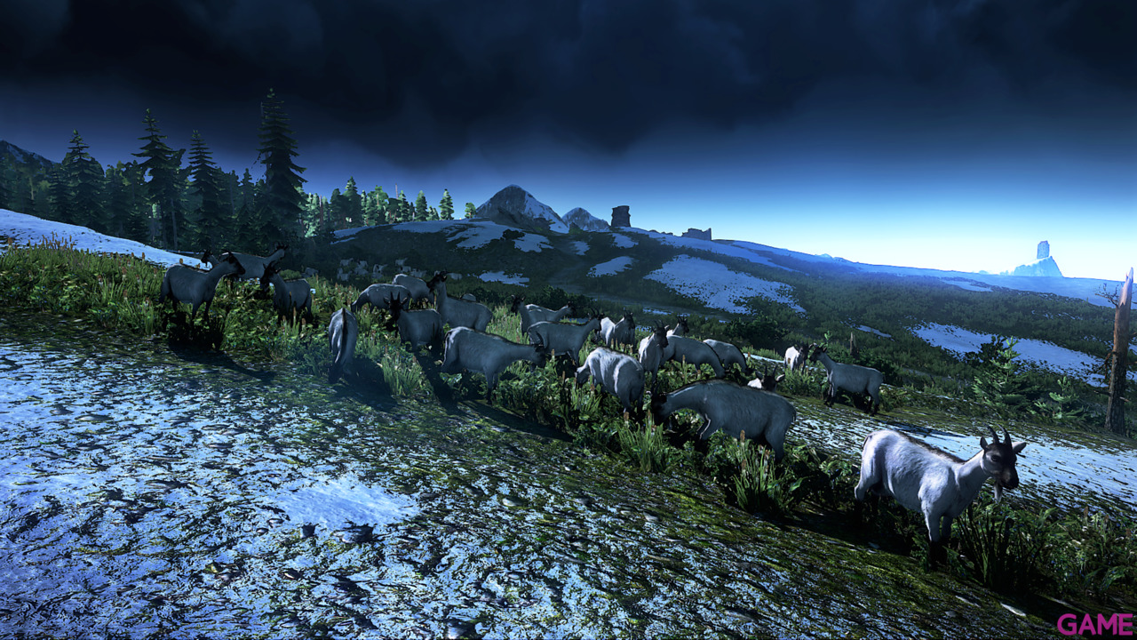 The Witcher 3 Light Edition-36