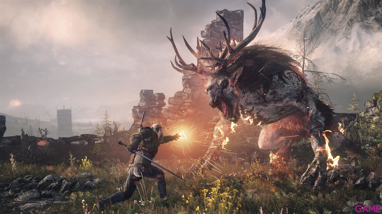 The Witcher 3 Light Edition-38