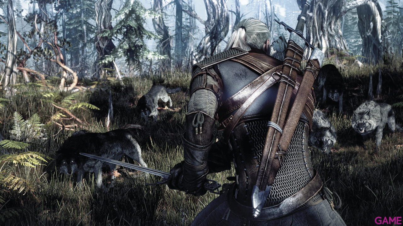 The Witcher 3 Light Edition-40