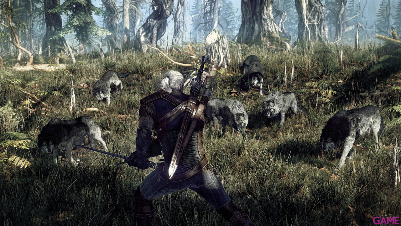 The Witcher 3 Light Edition-41