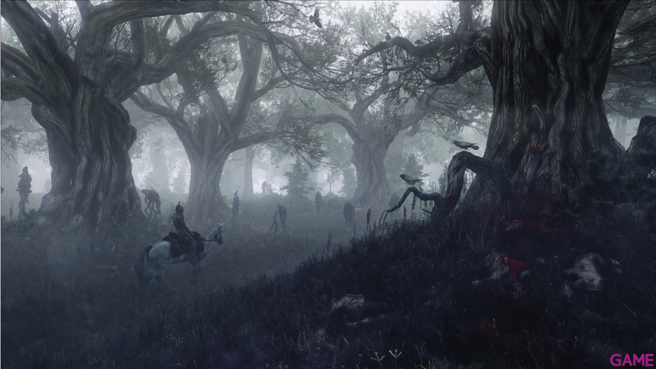 The Witcher 3 Light Edition-42