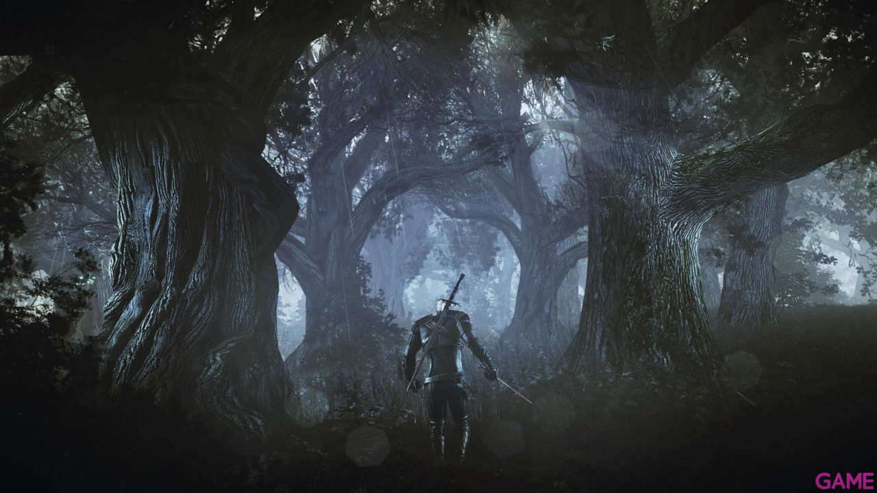 The Witcher 3 Light Edition-43