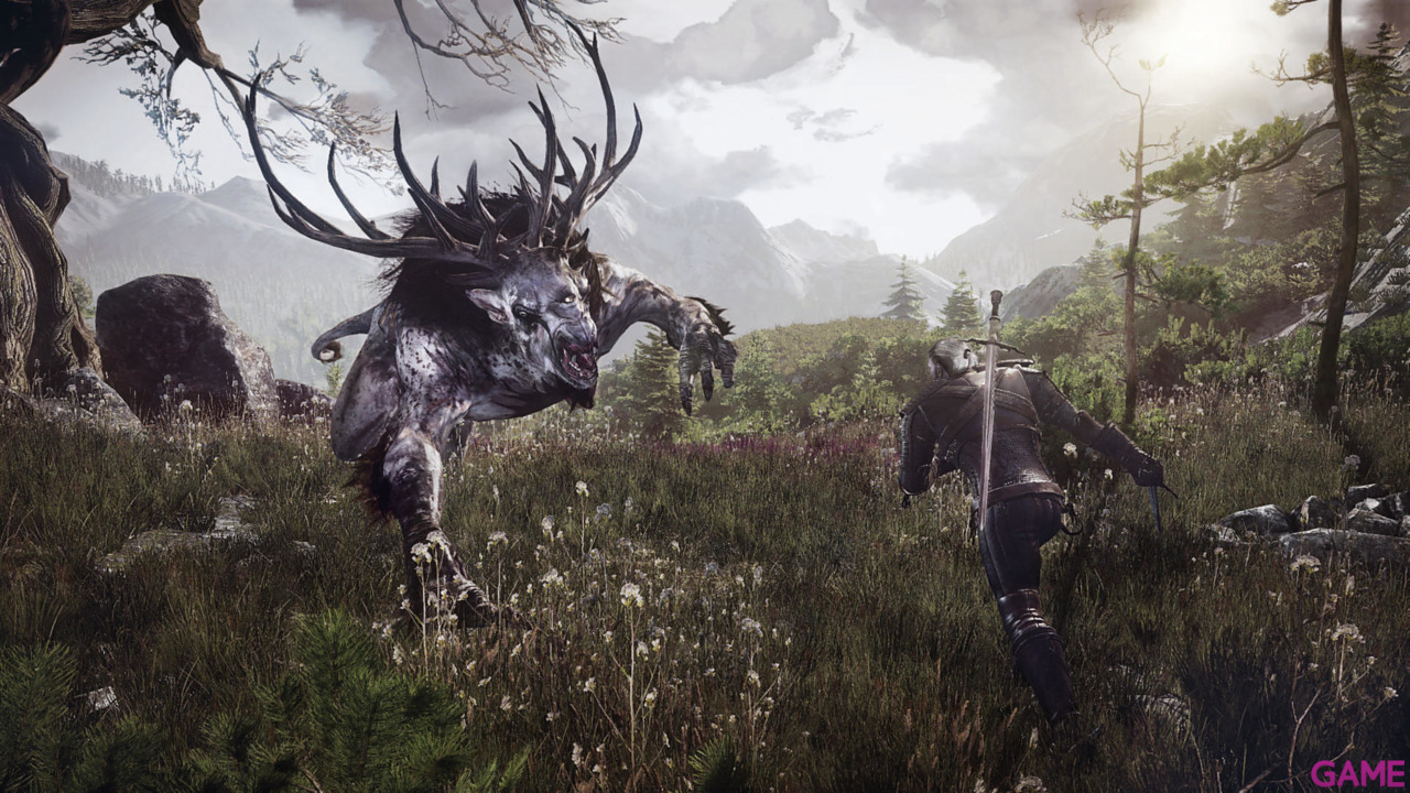 The Witcher 3 Light Edition-45