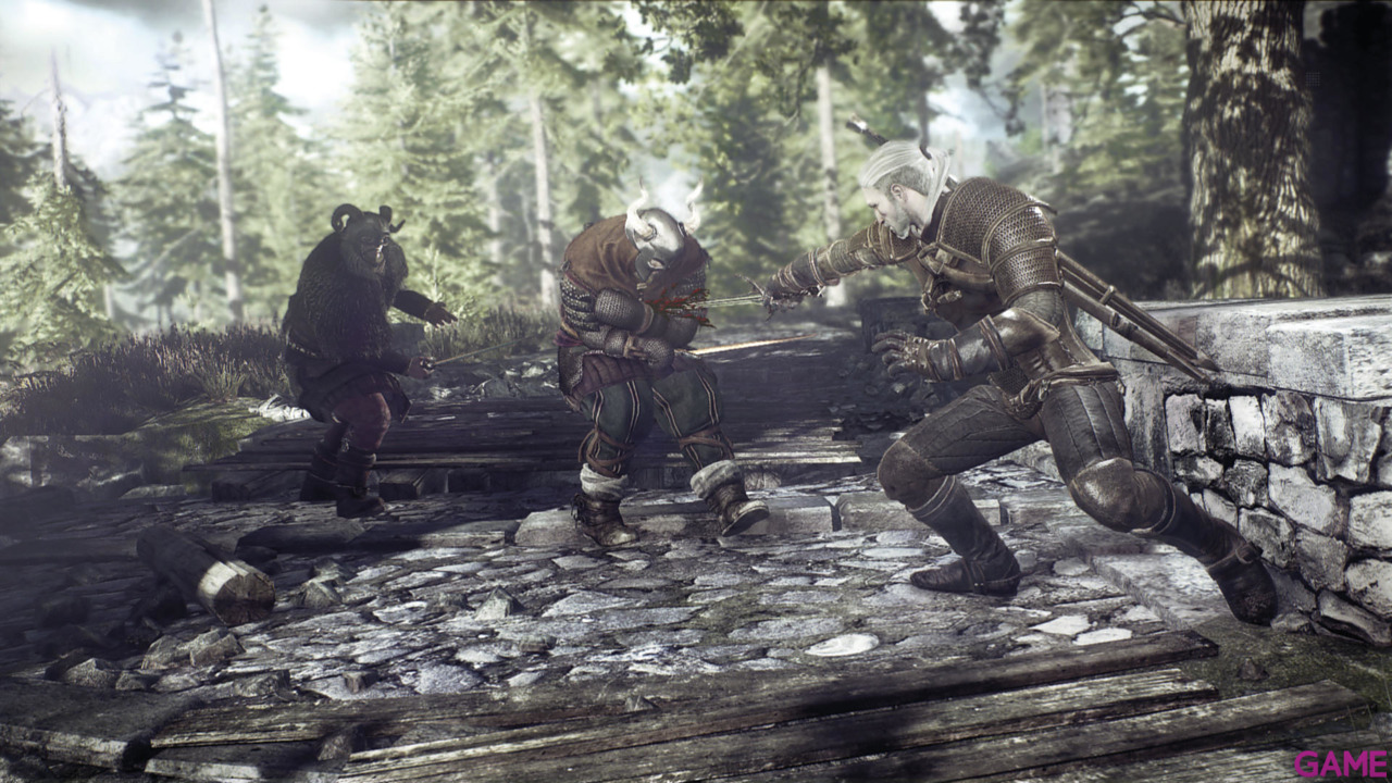 The Witcher 3 Light Edition-46