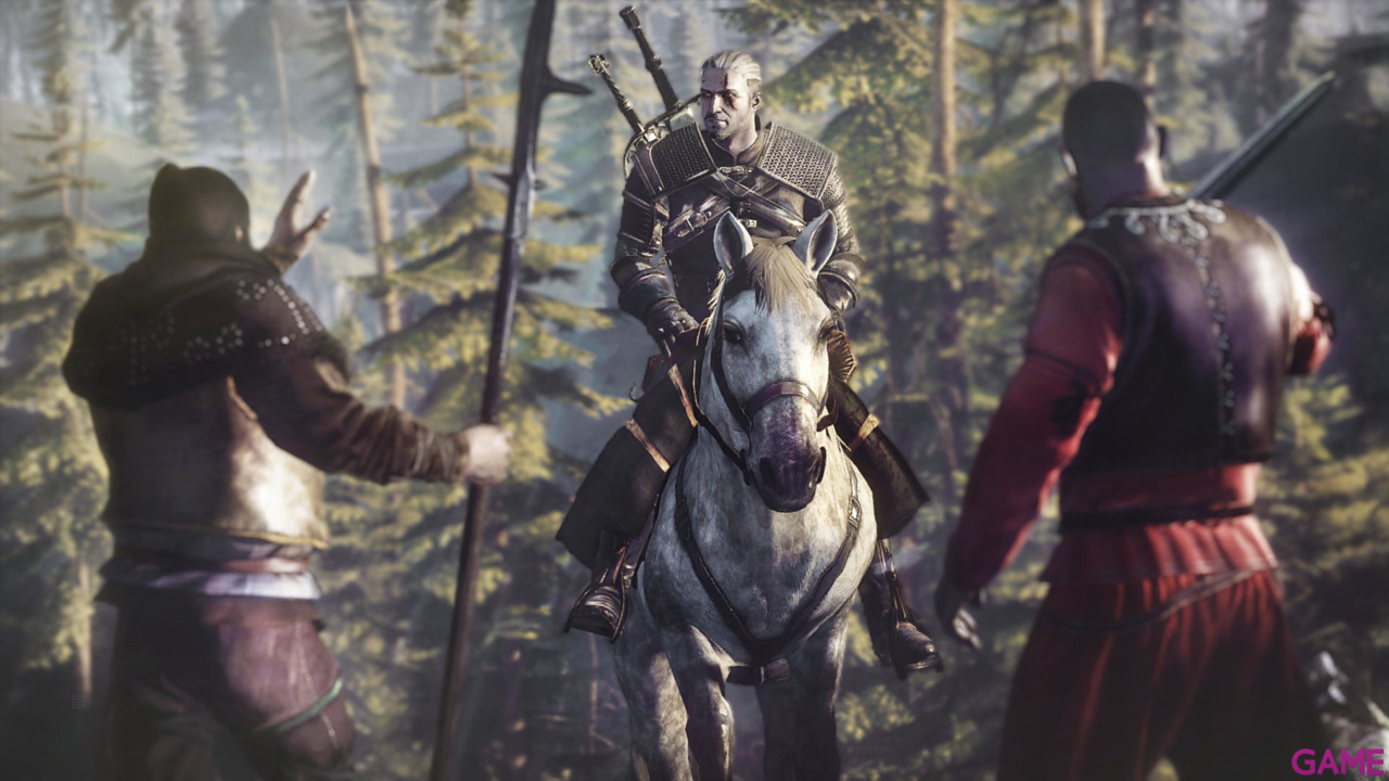 The Witcher 3 Light Edition-48