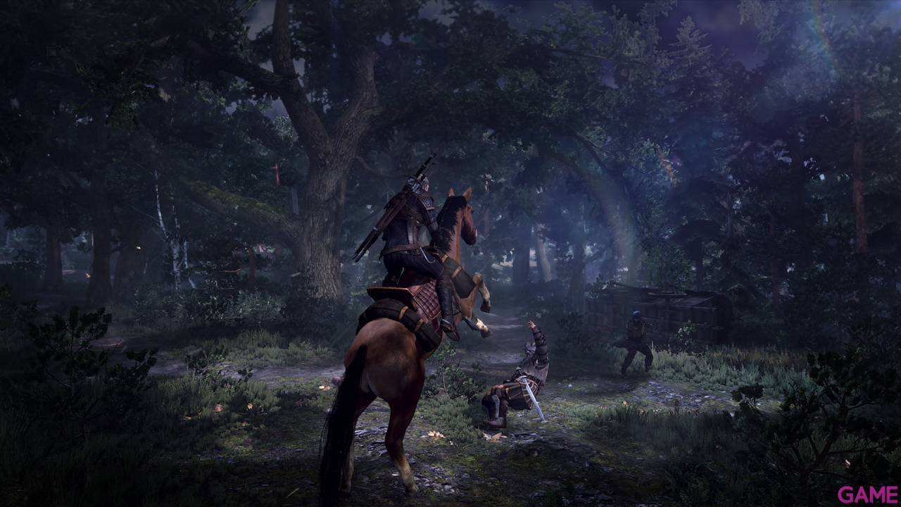The Witcher 3 Light Edition-54