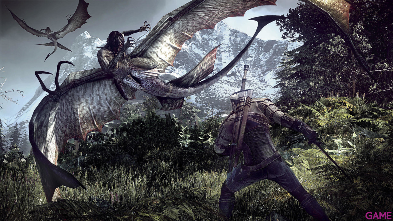The Witcher 3 Light Edition-60