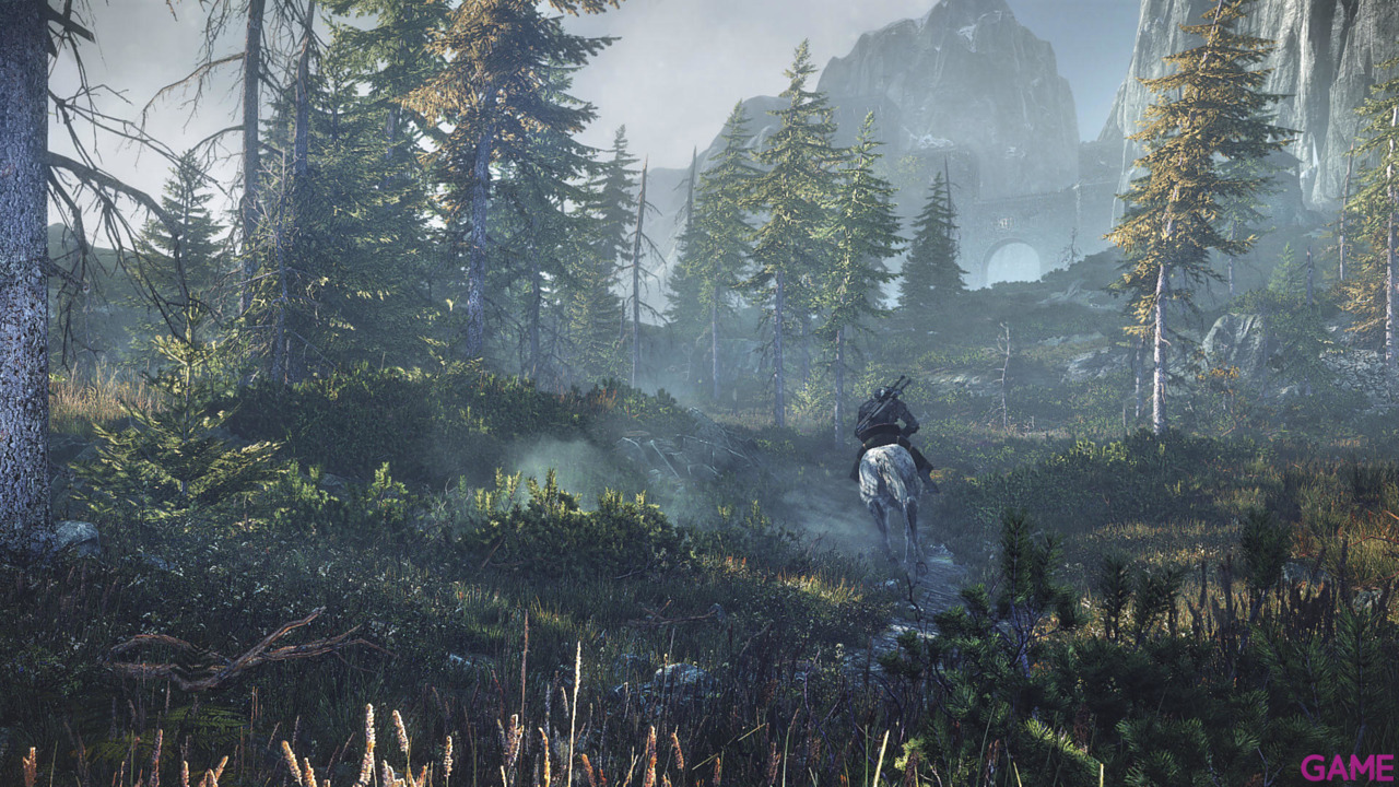 The Witcher 3 Light Edition-67
