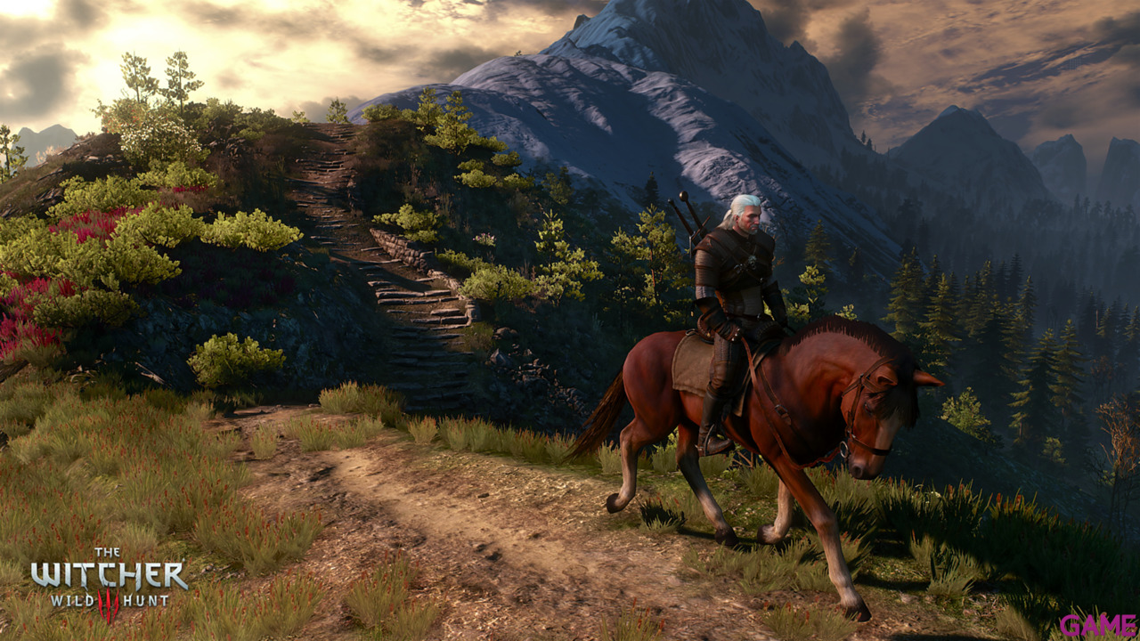 The Witcher 3 Light Edition-71