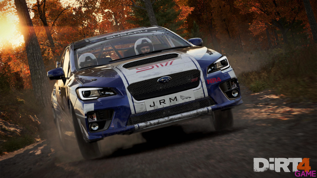 DIRT 4 Special Edition-28