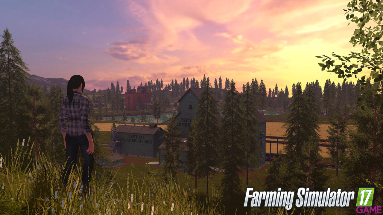 Farming Simulator 17: Platinum Edition-5