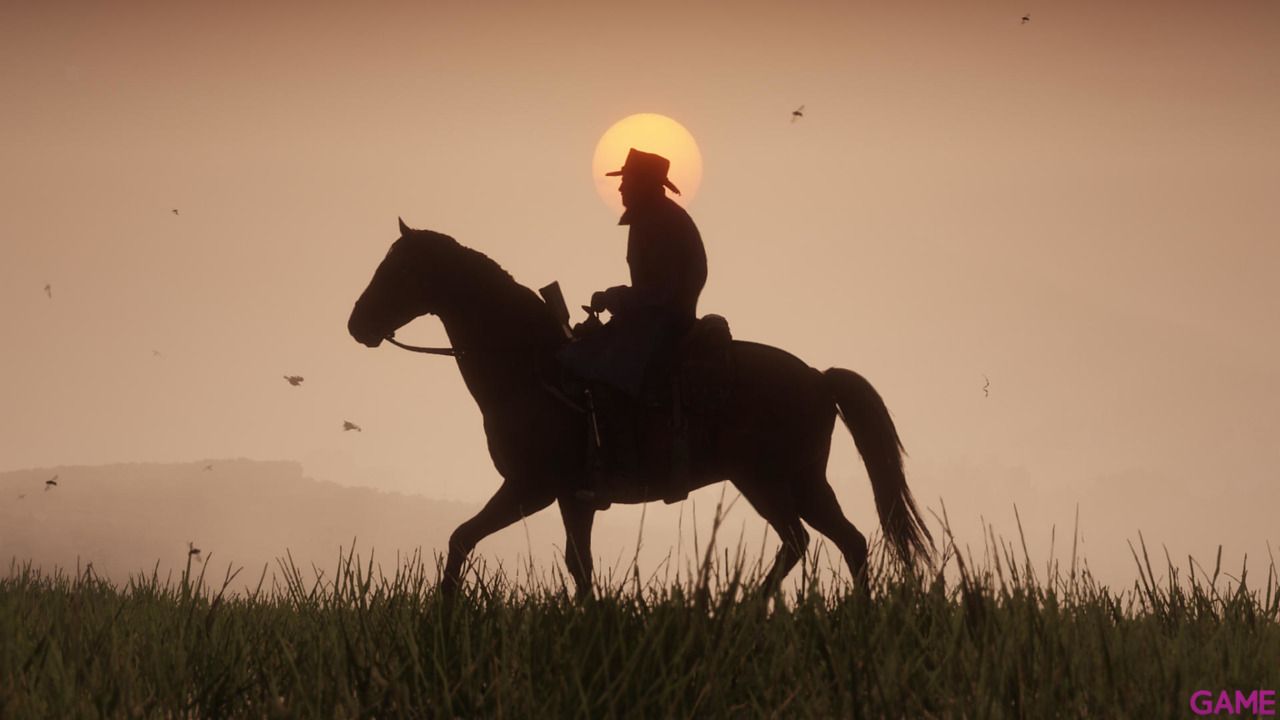 Red Dead Redemption II-31