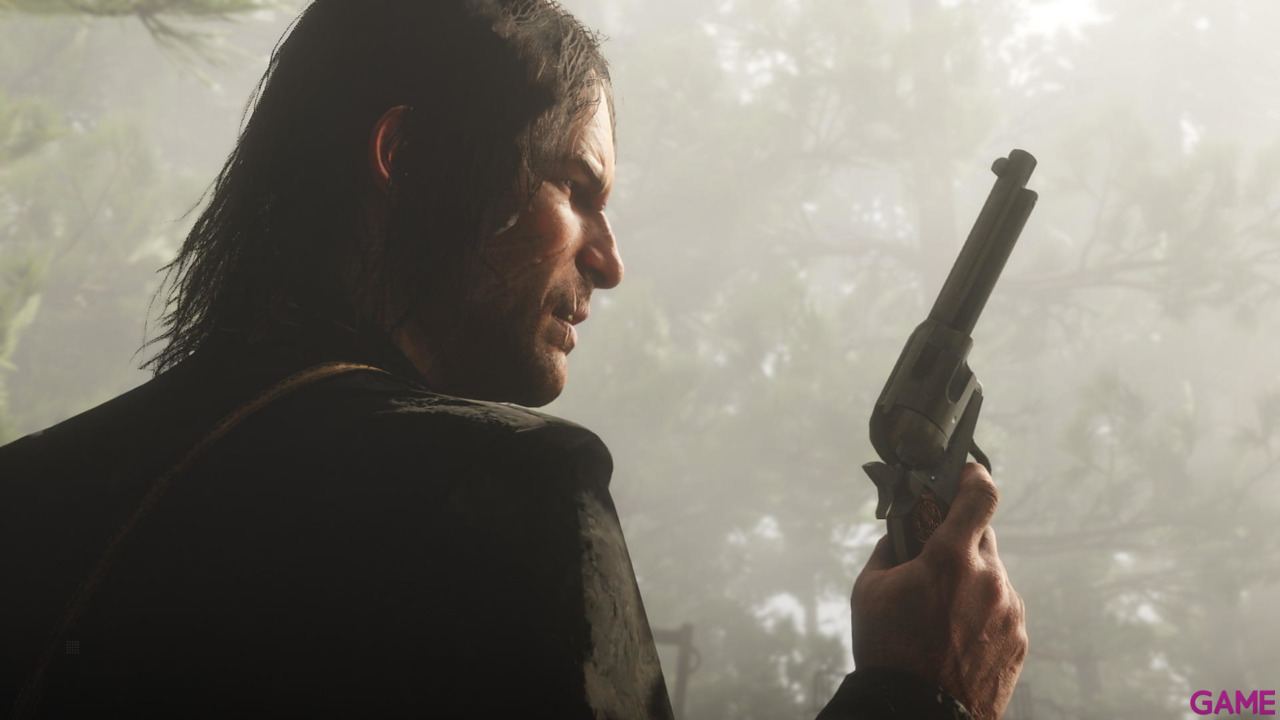 Red Dead Redemption II-14