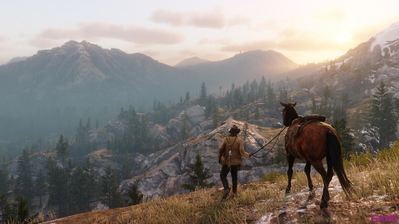 Red Dead Redemption II-28