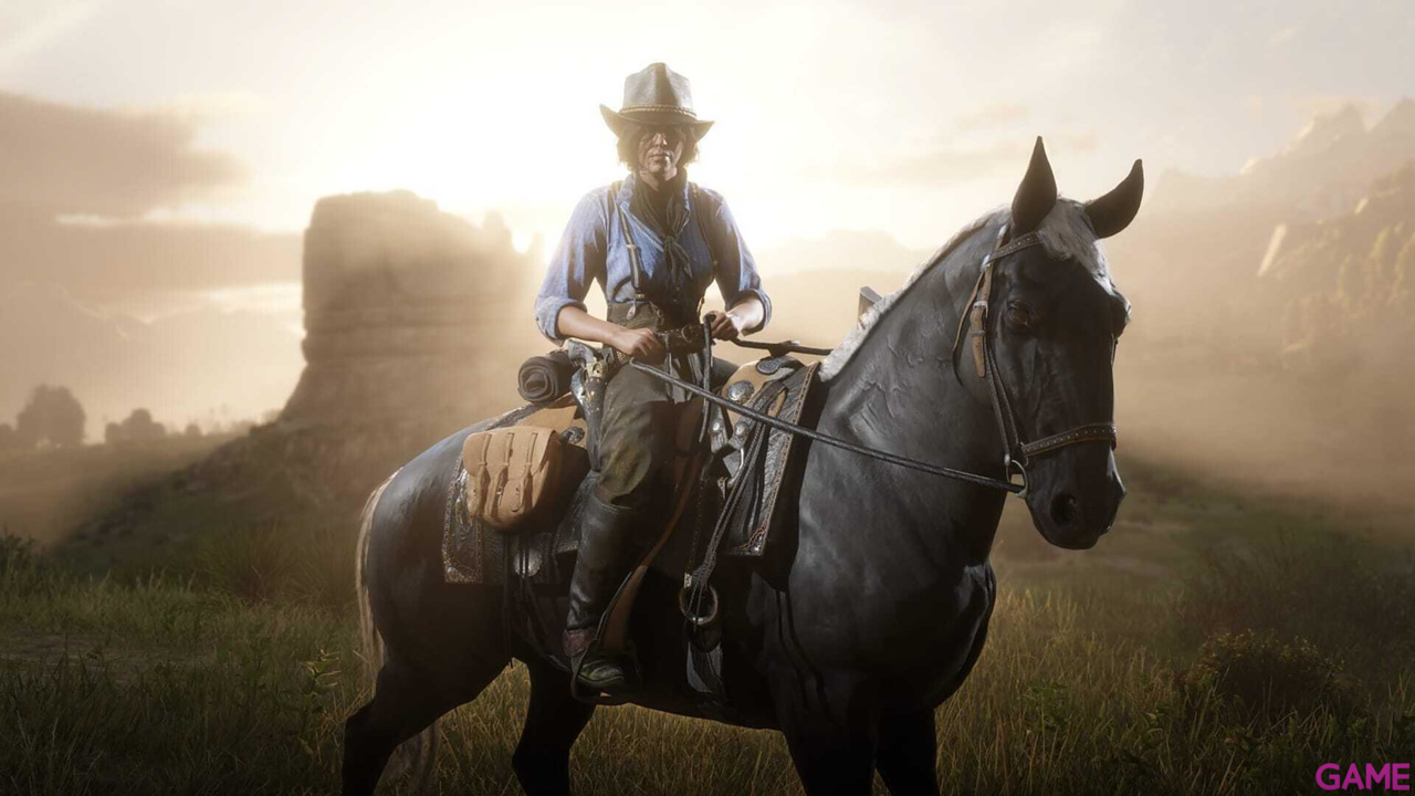 Red Dead Redemption II-49