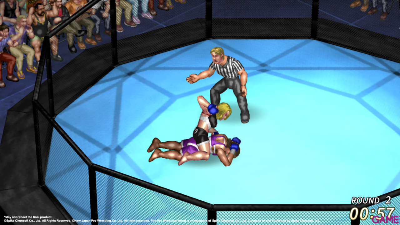 Fire Pro Wrestling World-10
