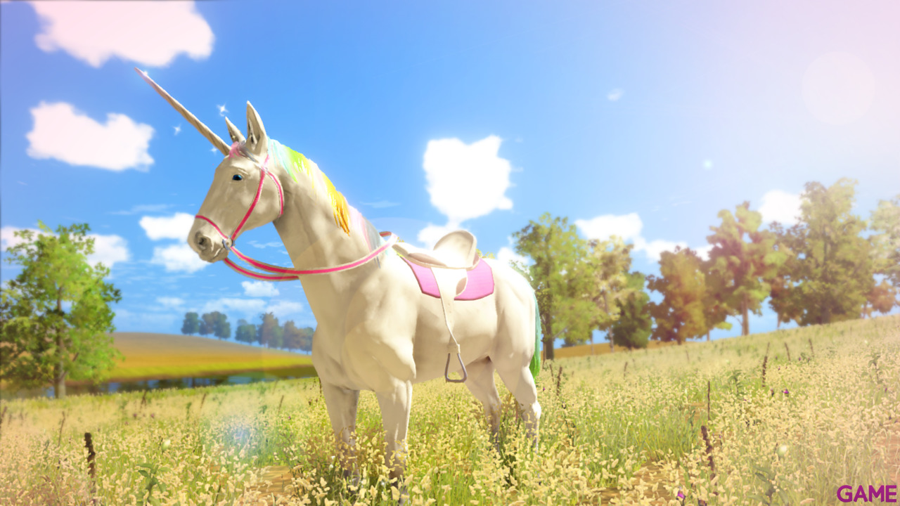 The Unicorn Princess-5
