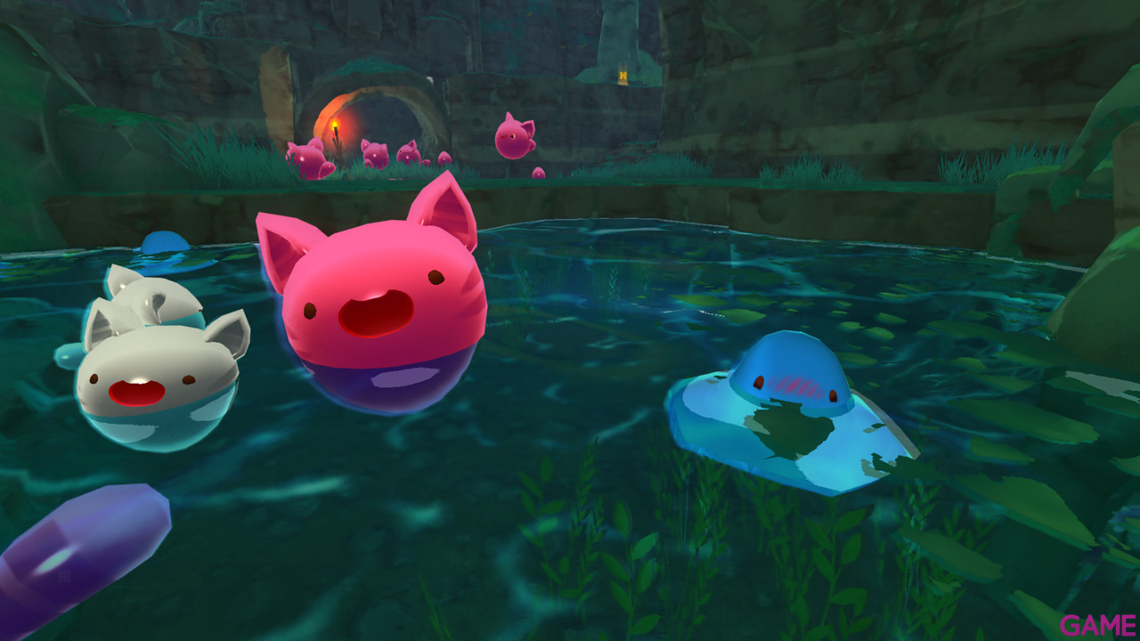 Slime Rancher Deluxe Edition-16