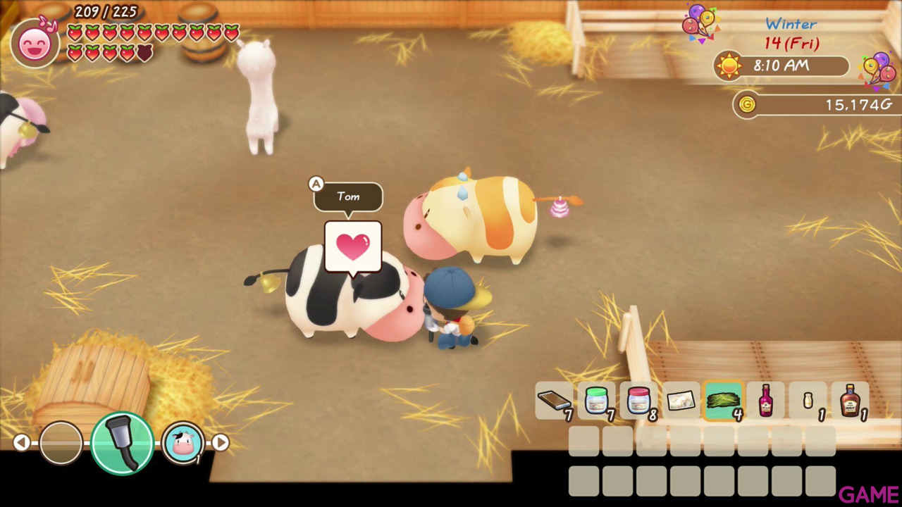 Story of Seasons: Friends of Mineral Town-25
