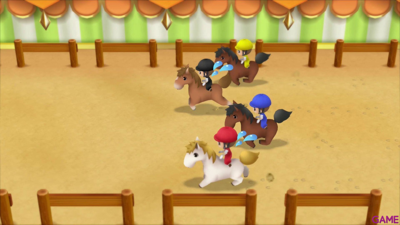 Story of Seasons: Friends of Mineral Town-30