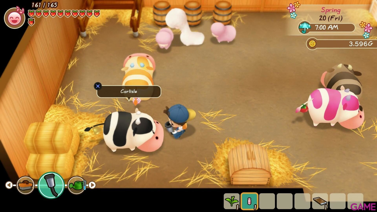 Story of Seasons: Friends of Mineral Town-37