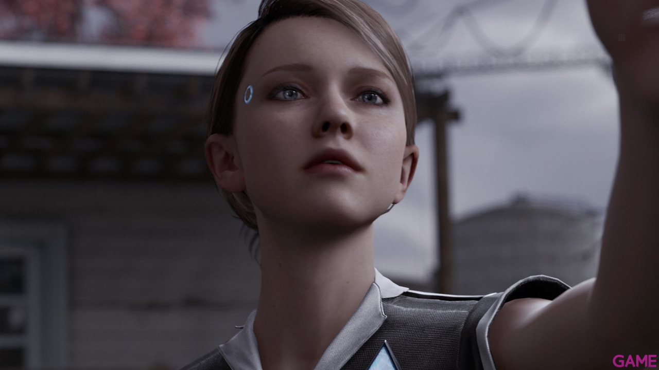 Detroit Become Human Collector's Edition-32