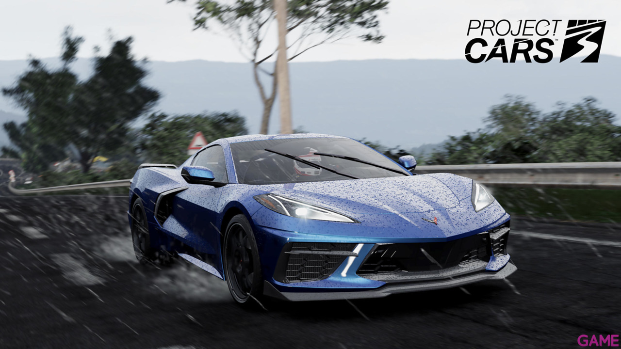 Project Cars 3-13